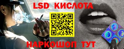 крисы Кулебаки